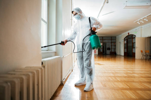 Best Real Estate Pest Inspections  in Puget Island, WA